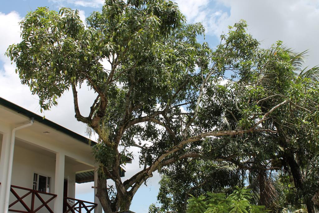 Asteria Studios Paramaribo Luaran gambar